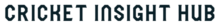 fantasycrickethub.website